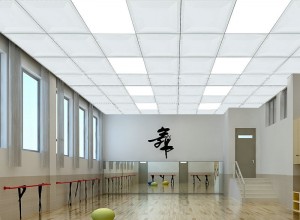 吊顶花纹压型铝扣板